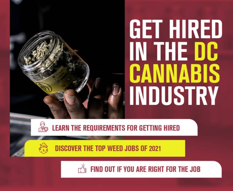 get hired in the dc cannabis industry