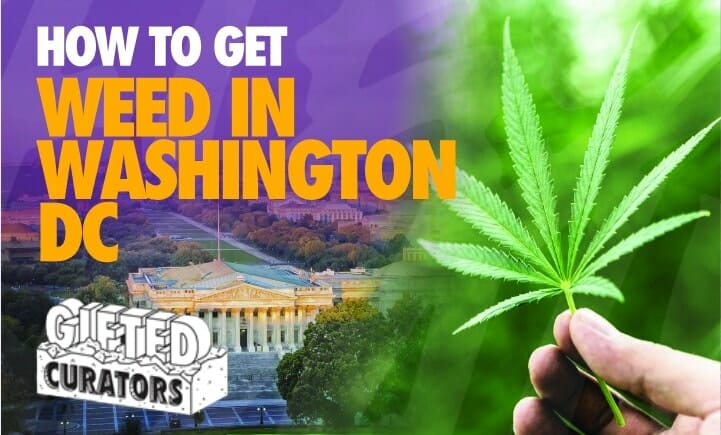 how to get weed in washington dc