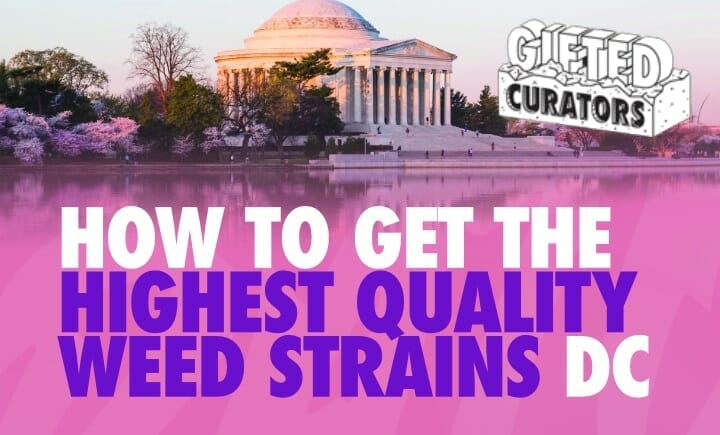 how to get the highest quality weed strains dc
