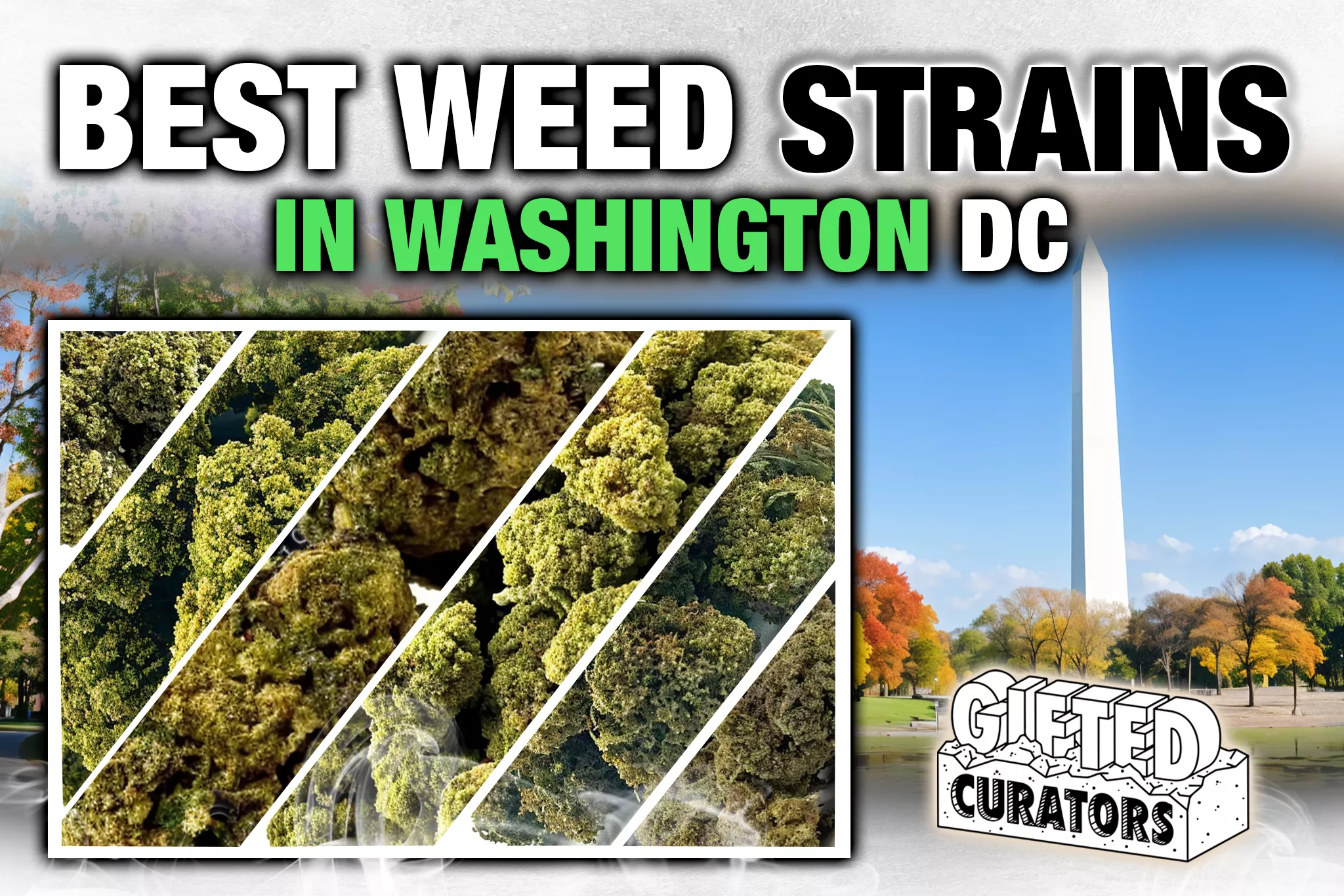 best weed strains in washington dc