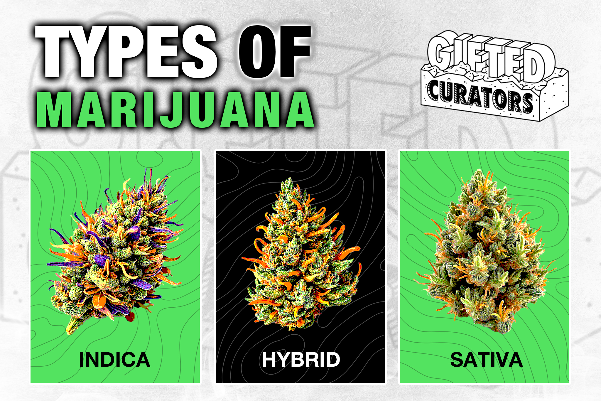 types of marijuana