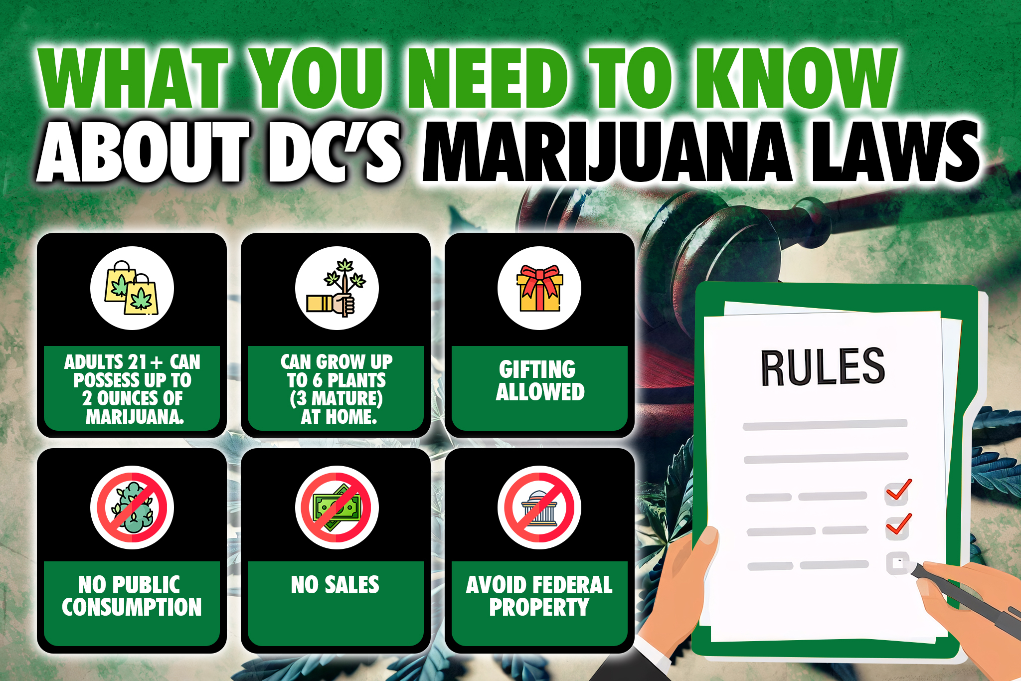 what you need to know about dc's marijuana laws